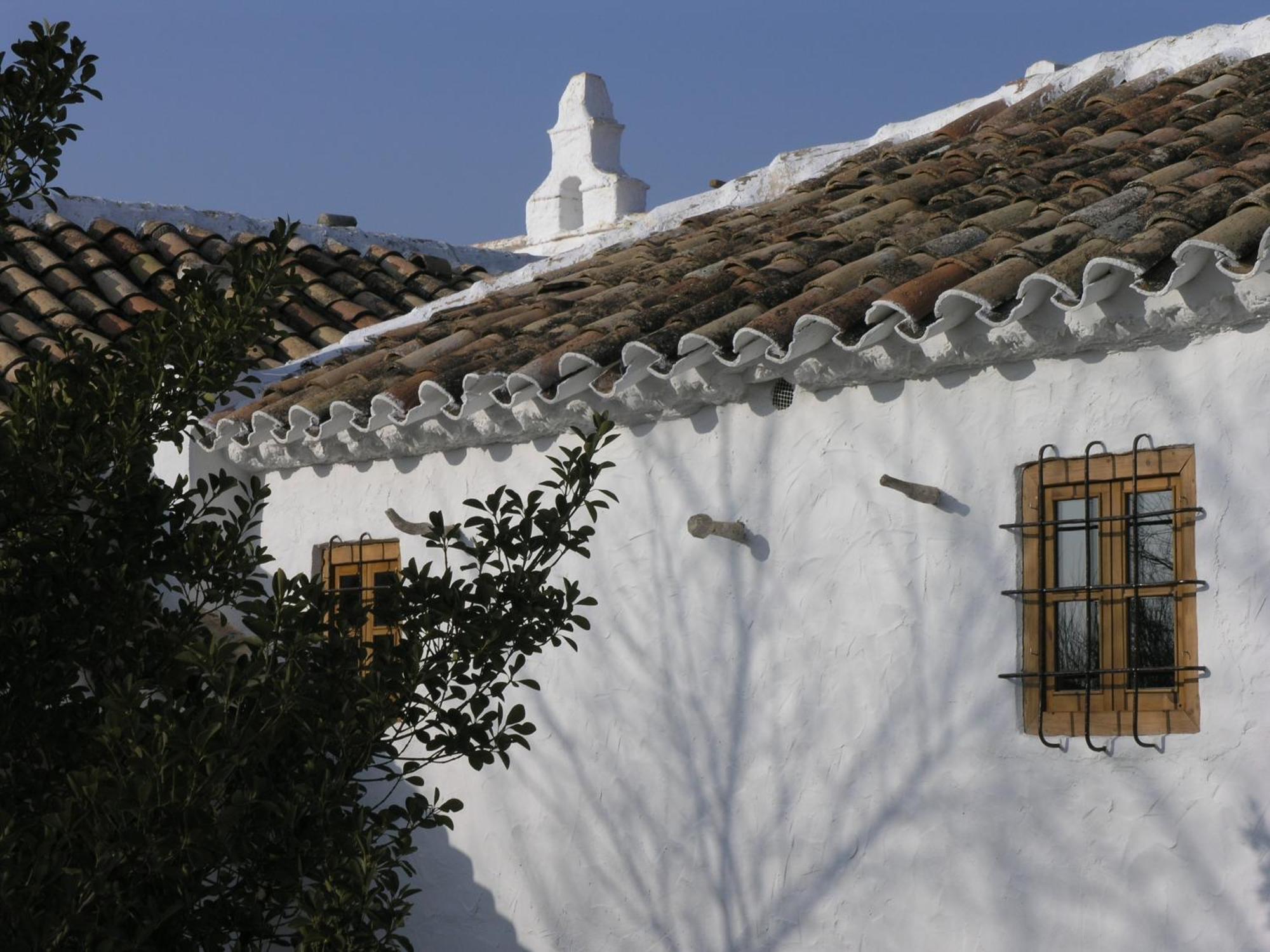 Casa Rural La Alameda Madridejos Exteriér fotografie