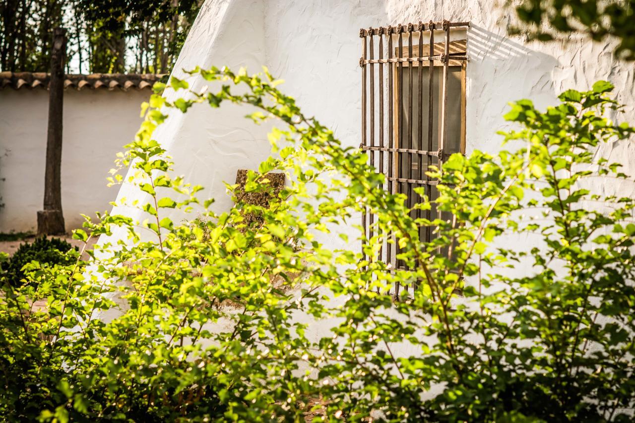 Casa Rural La Alameda Madridejos Exteriér fotografie